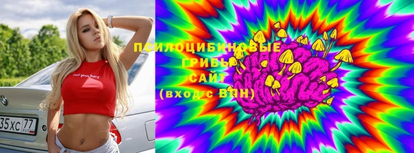 ГАЛЛЮЦИНОГЕННЫЕ ГРИБЫ Армянск