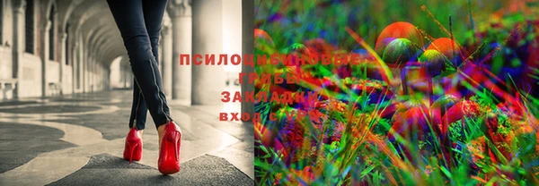 эйфоретик Аркадак